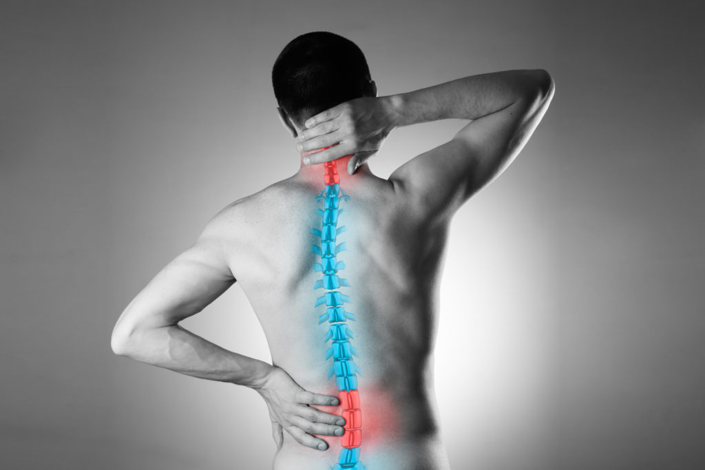 low back pain and neck pain